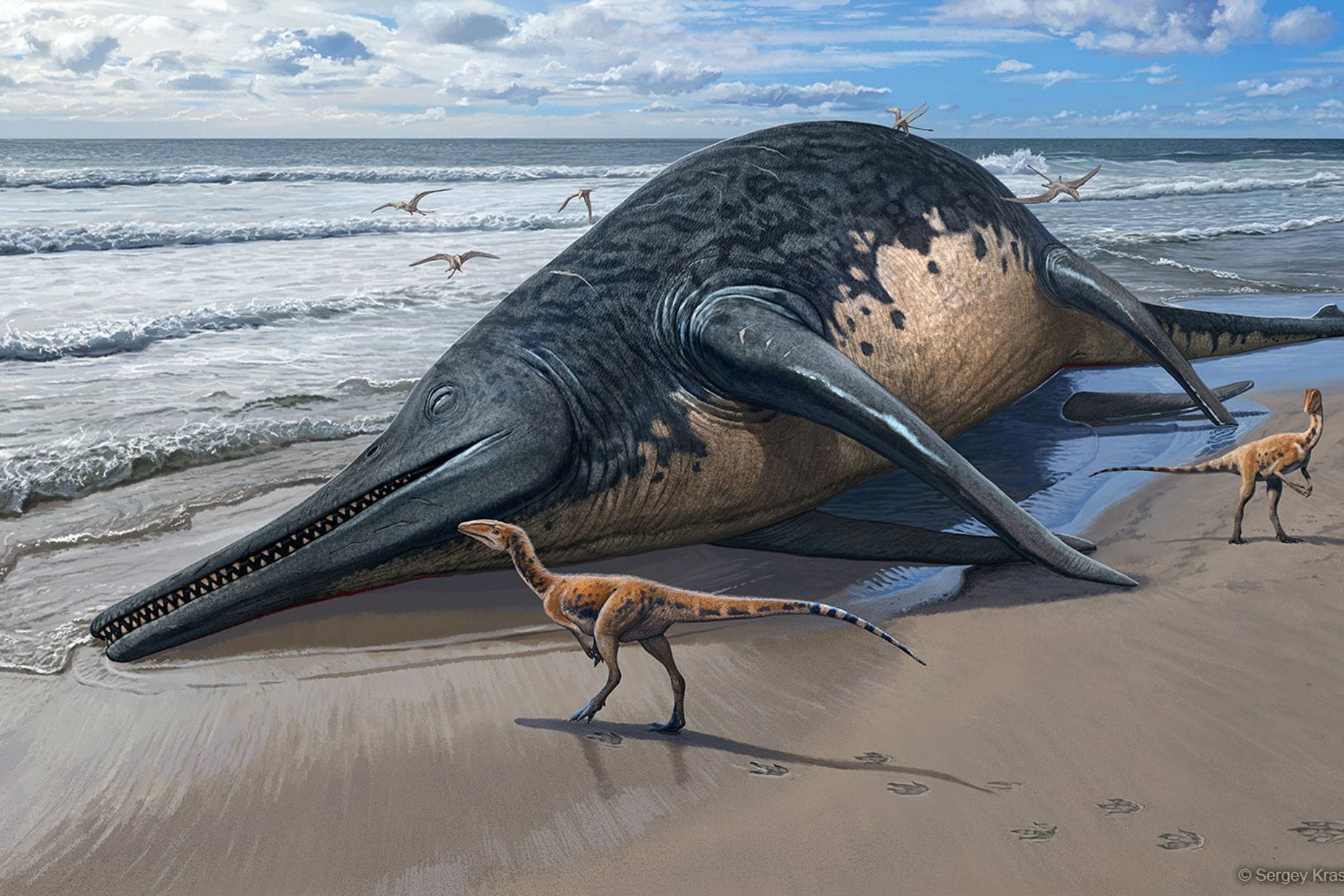 Ichthyotitan severnensis