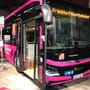 Sanierung der Riedbahn: Bahn ersetzt Verkehr ab 15. Juli mit 150 Bussen