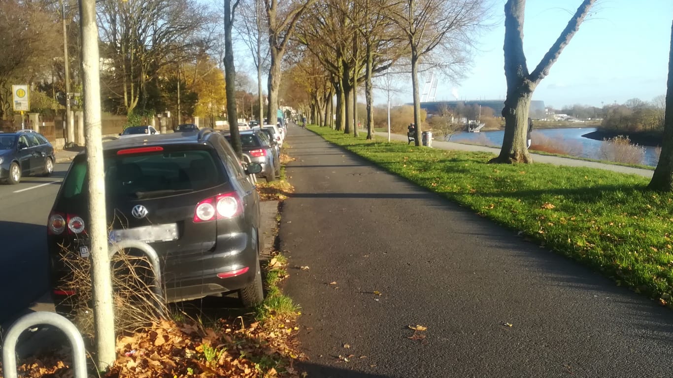 Blick auf die aktuelle Lage am Osterdeich: Der Radweg ist in die Jahre gekommen, geparkte Fahrzeuge ragen häufig in die Fahrspur für Zweiräder hinein und es kommt zu gefährlichen Situationen.