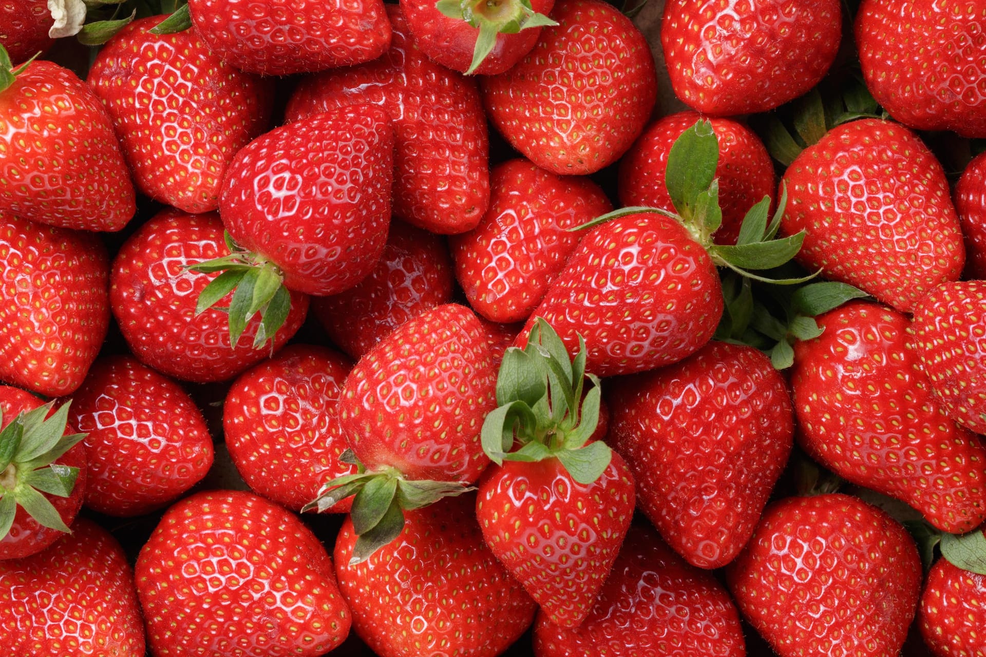 Erdbeeren (Symbolfoto): Die frostigen Nachttemperaturen haben im Berliner Umland Schäden beim Obstanbau angerichtet.