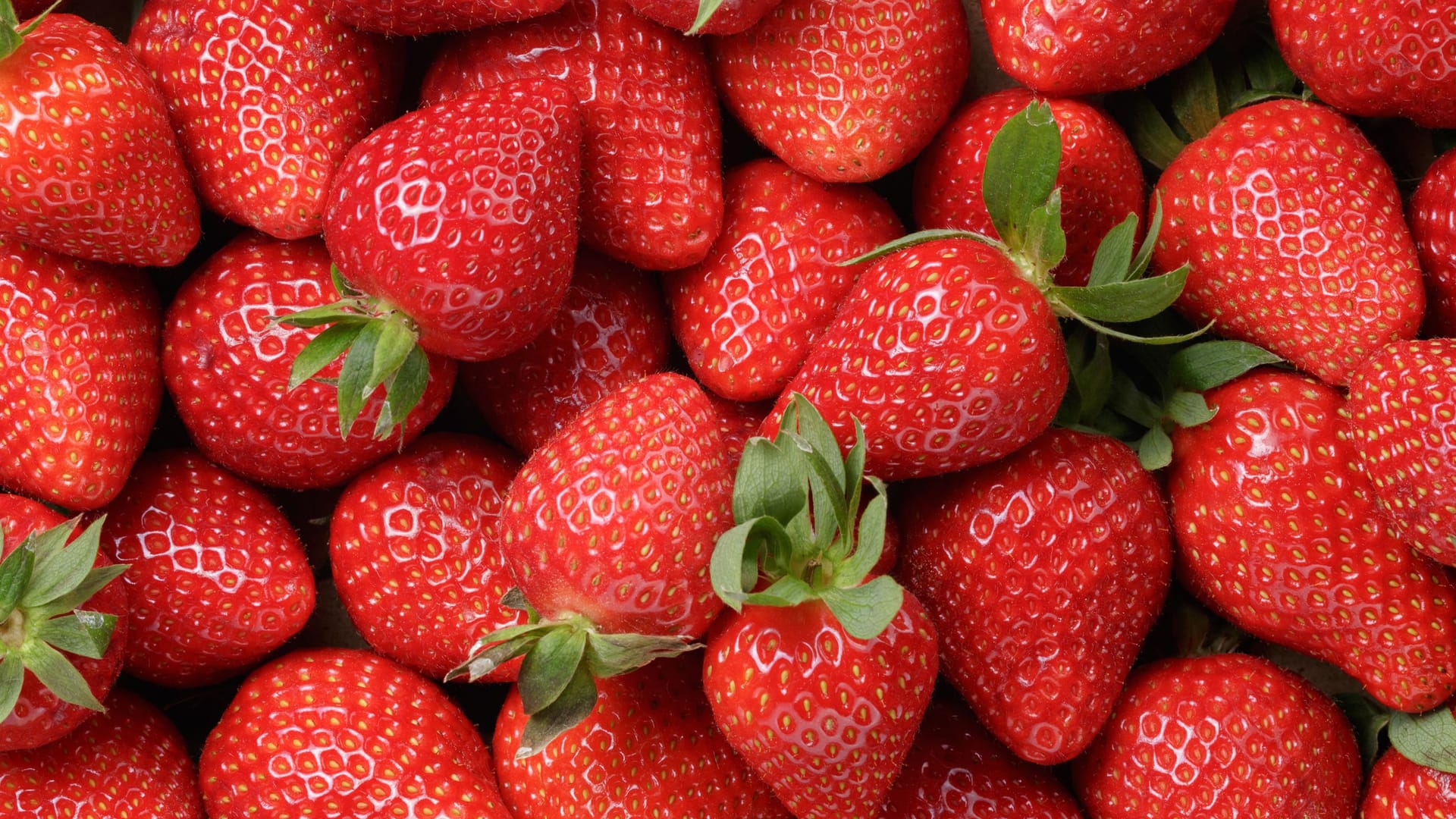 Erdbeeren (Symbolfoto): Die frostigen Nachttemperaturen haben im Berliner Umland Schäden beim Obstanbau angerichtet.