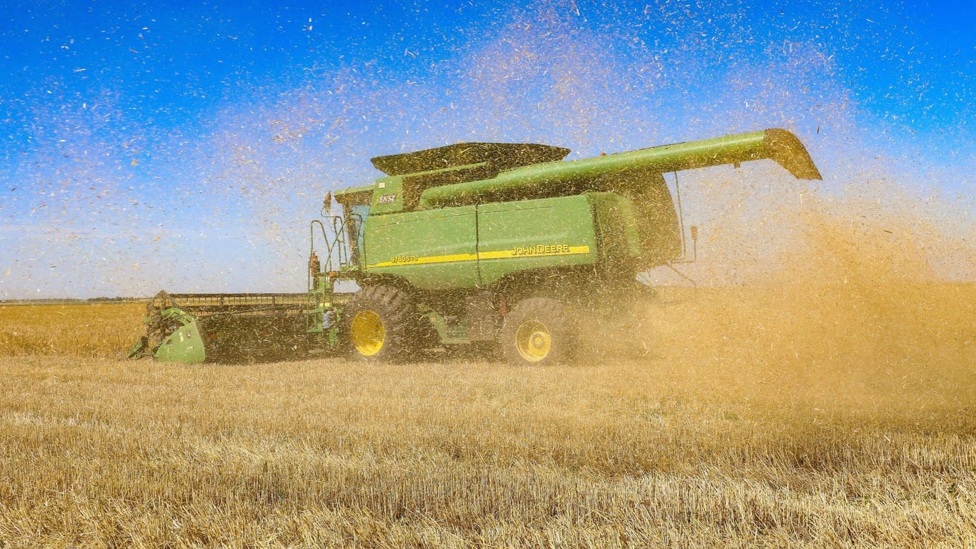 Getreideernte in der Ukraine
