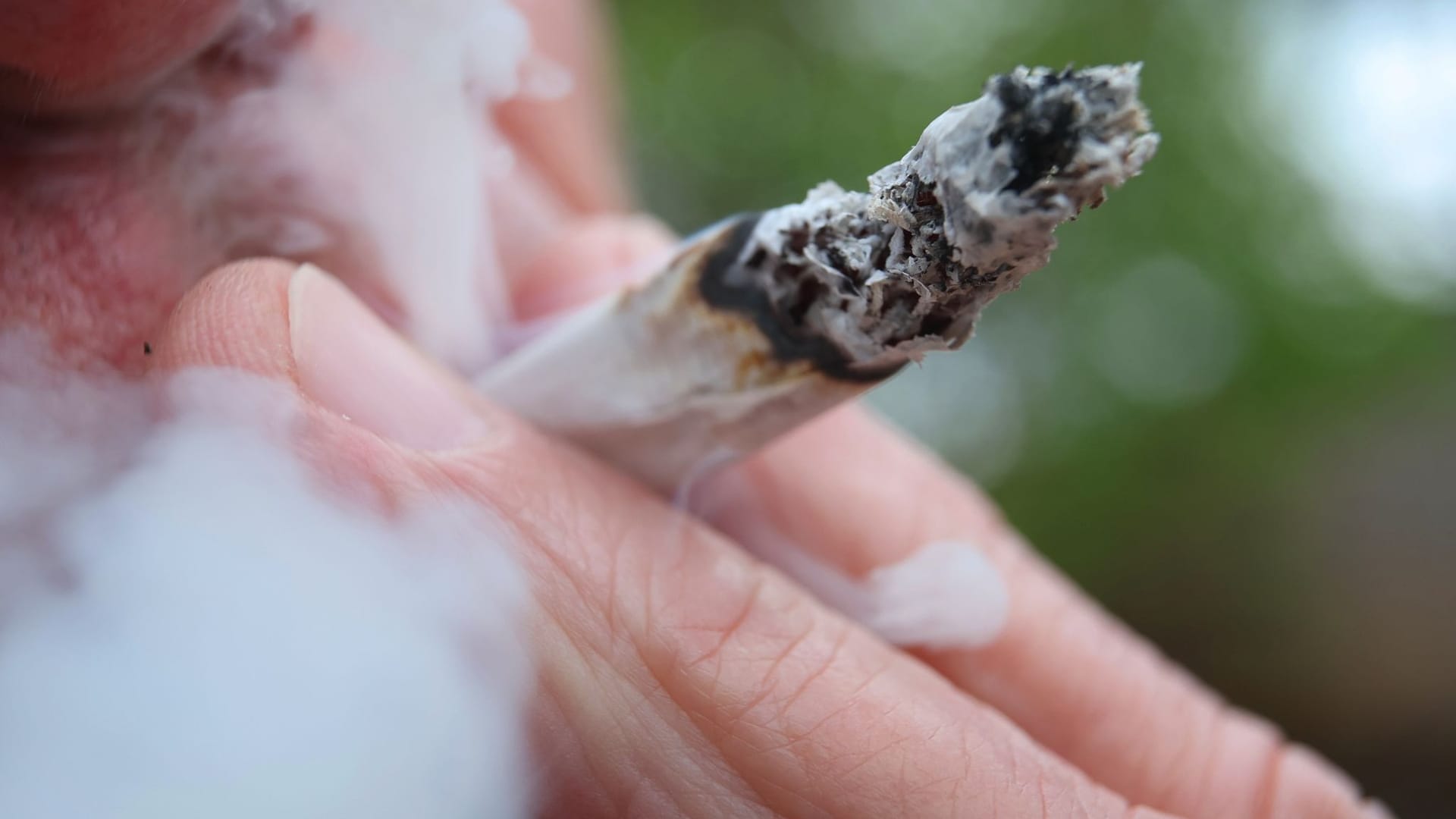 Cannabis-Legalisierung Cannabis-Legalisierung