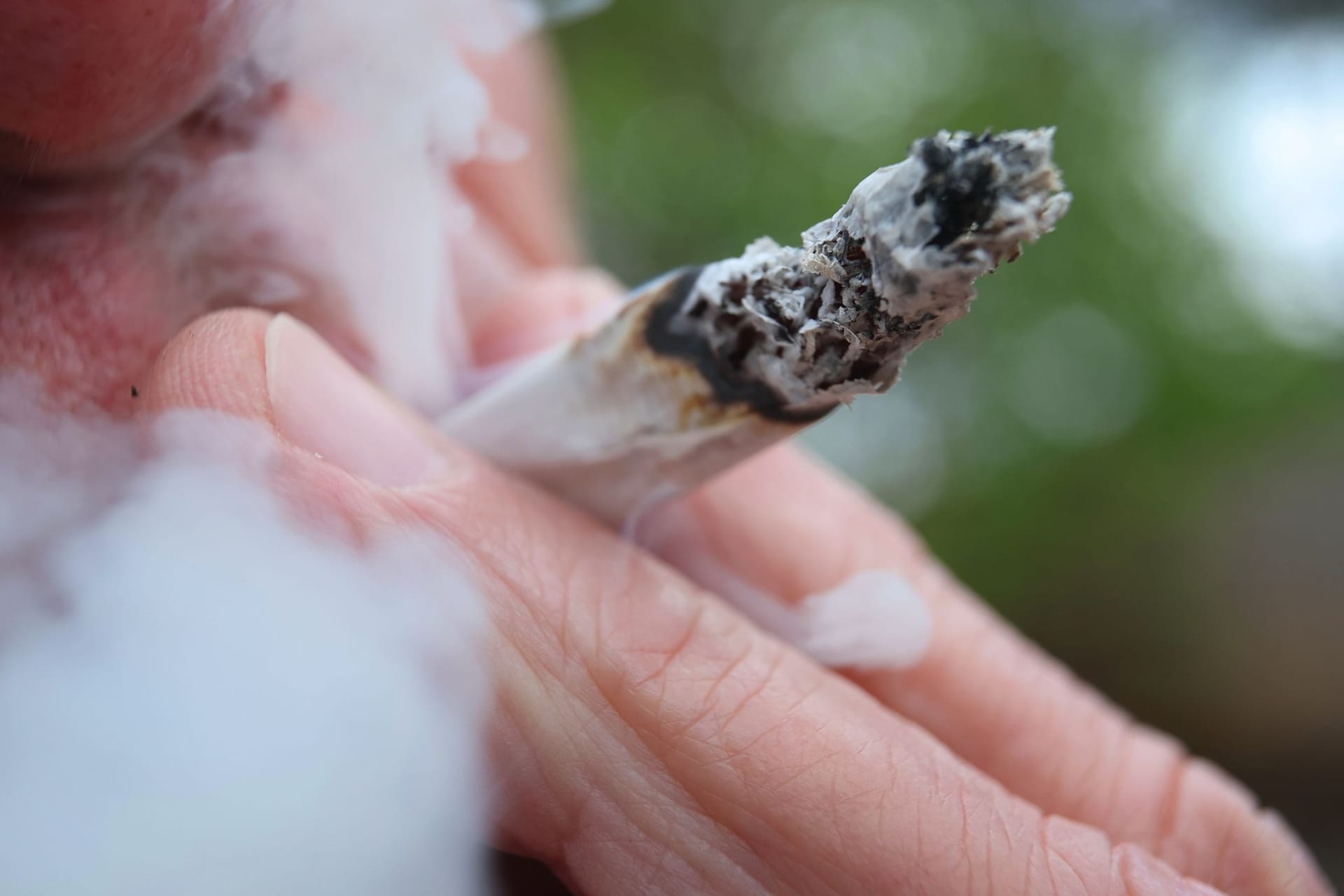 Cannabis-Legalisierung