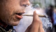 Frankfurt will Cannabis-Anbauvereinen Tipps geben 