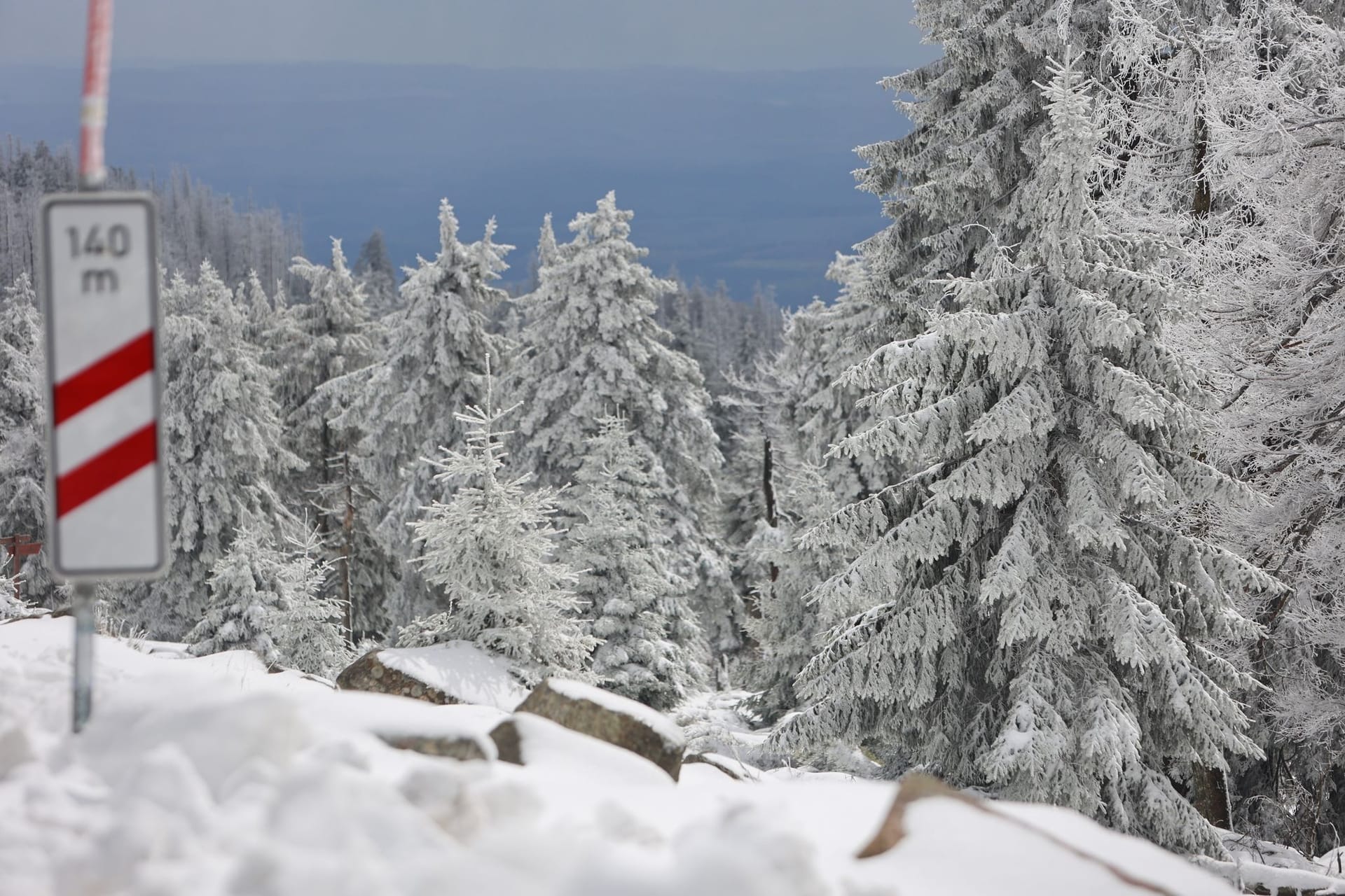 Schnee im Oberharz