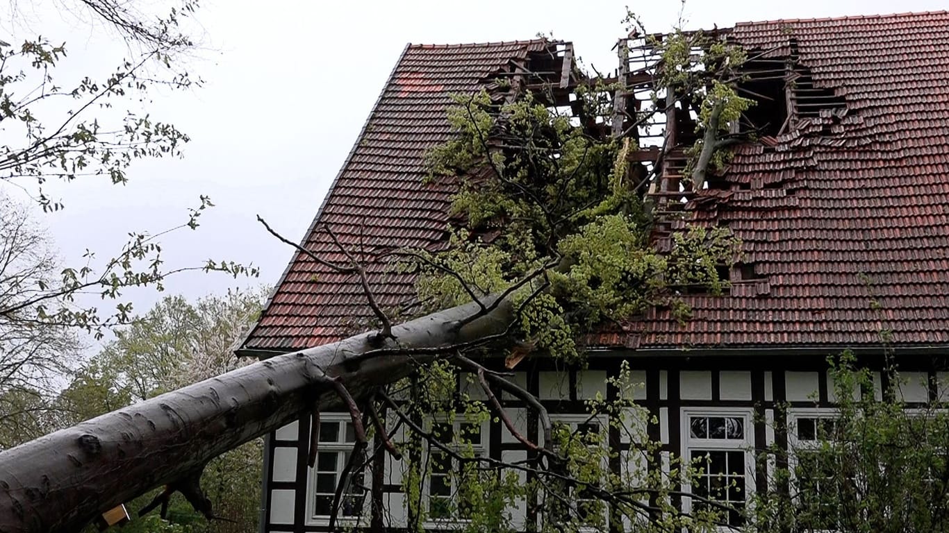 Baum stürzt auf Dach eines Fachwerkhauses