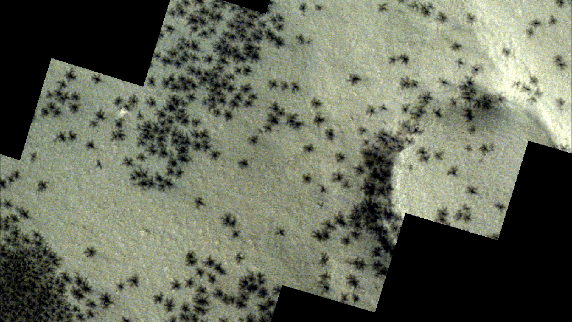 Die spinnenförmigen Strukturen sind über der südlichen Polarregion des Mars verstreut.