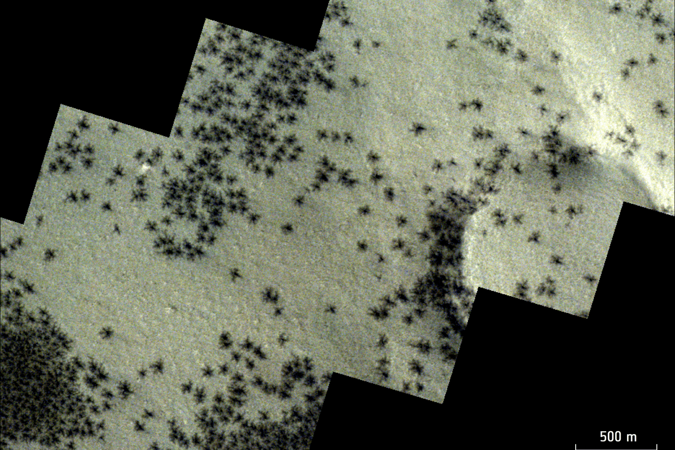 Die spinnenförmigen Strukturen sind über der südlichen Polarregion des Mars verstreut.
