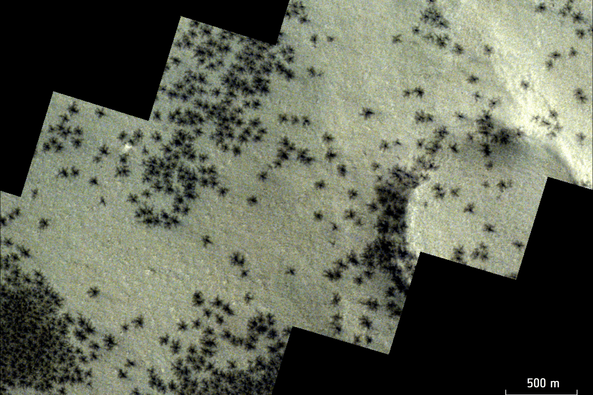 Die spinnenförmigen Strukturen sind über der südlichen Polarregion des Mars verstreut.