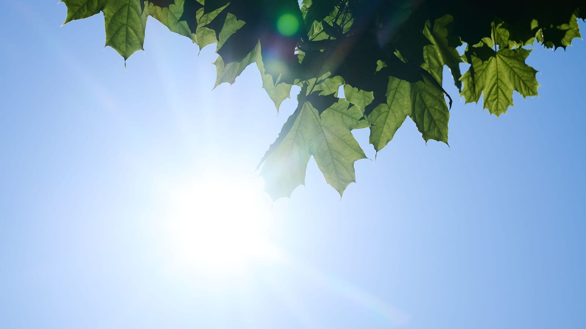 Frühling in Berlin