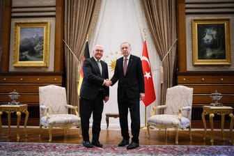 Steinmeier und Erdogan