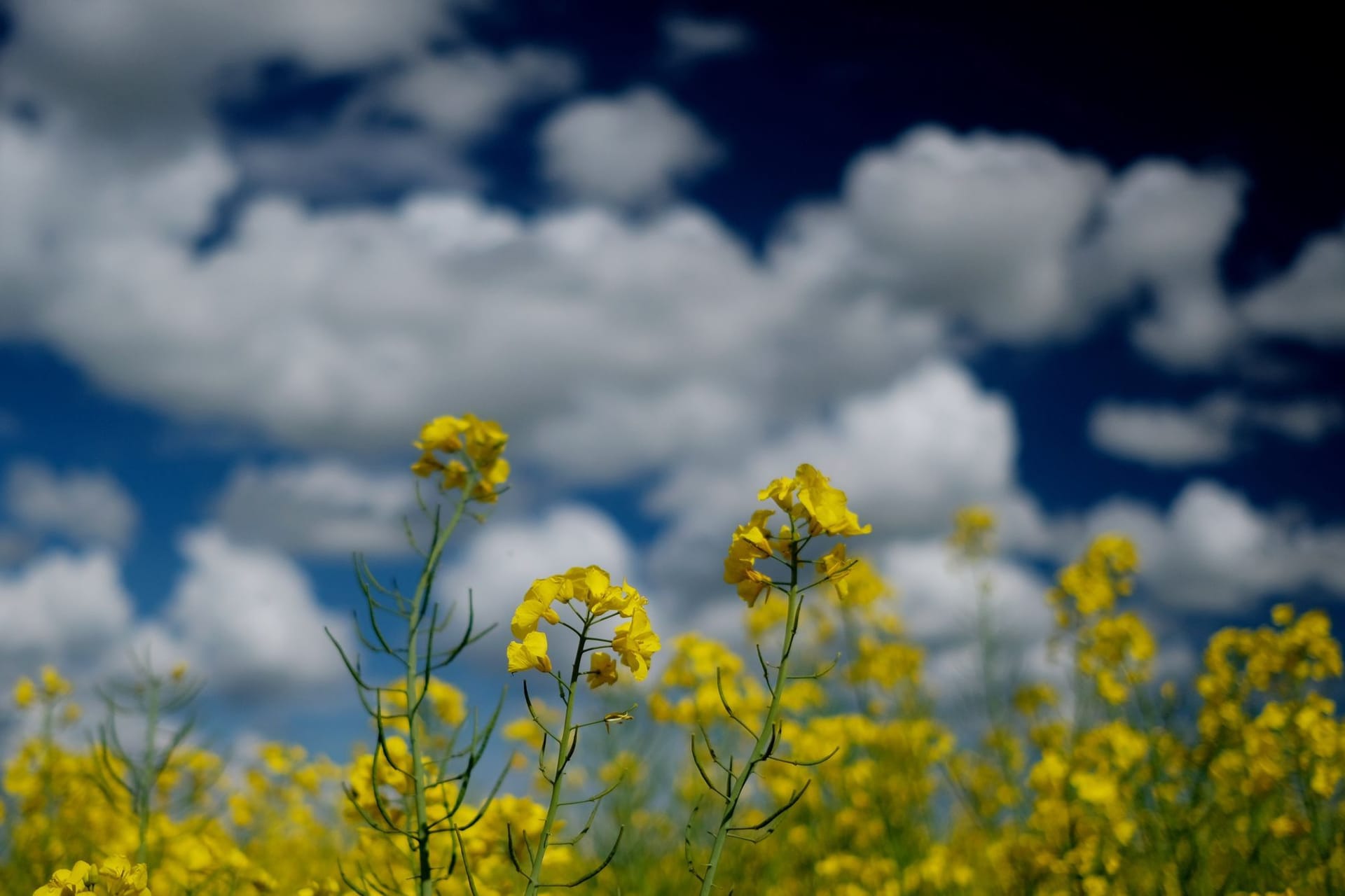 Aprilwetter