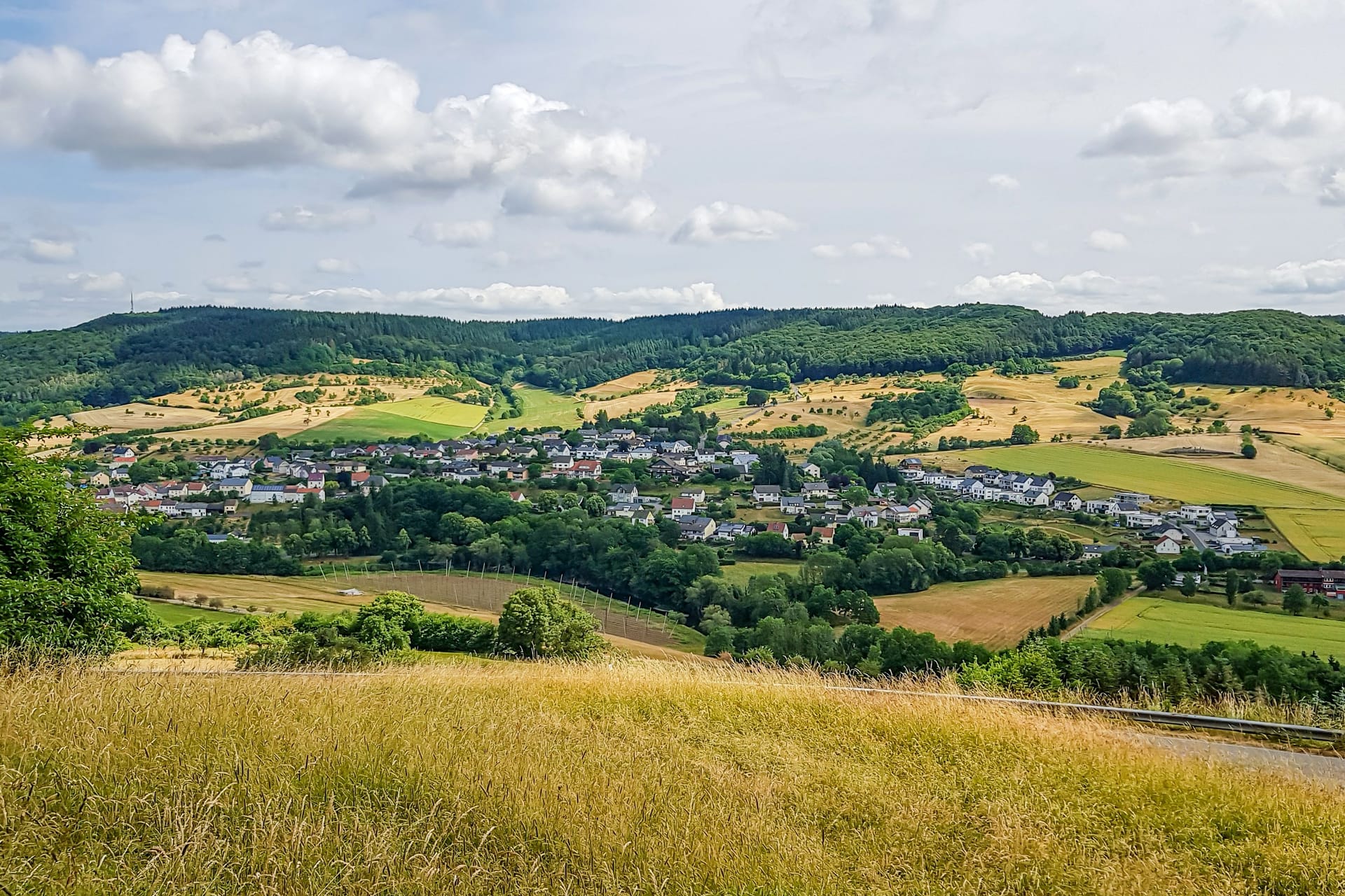 Landschaft im Eifelkreis Bitburg-Prüm: Hier fiel am Samstag ein Dreijähriger von einem Trecker.