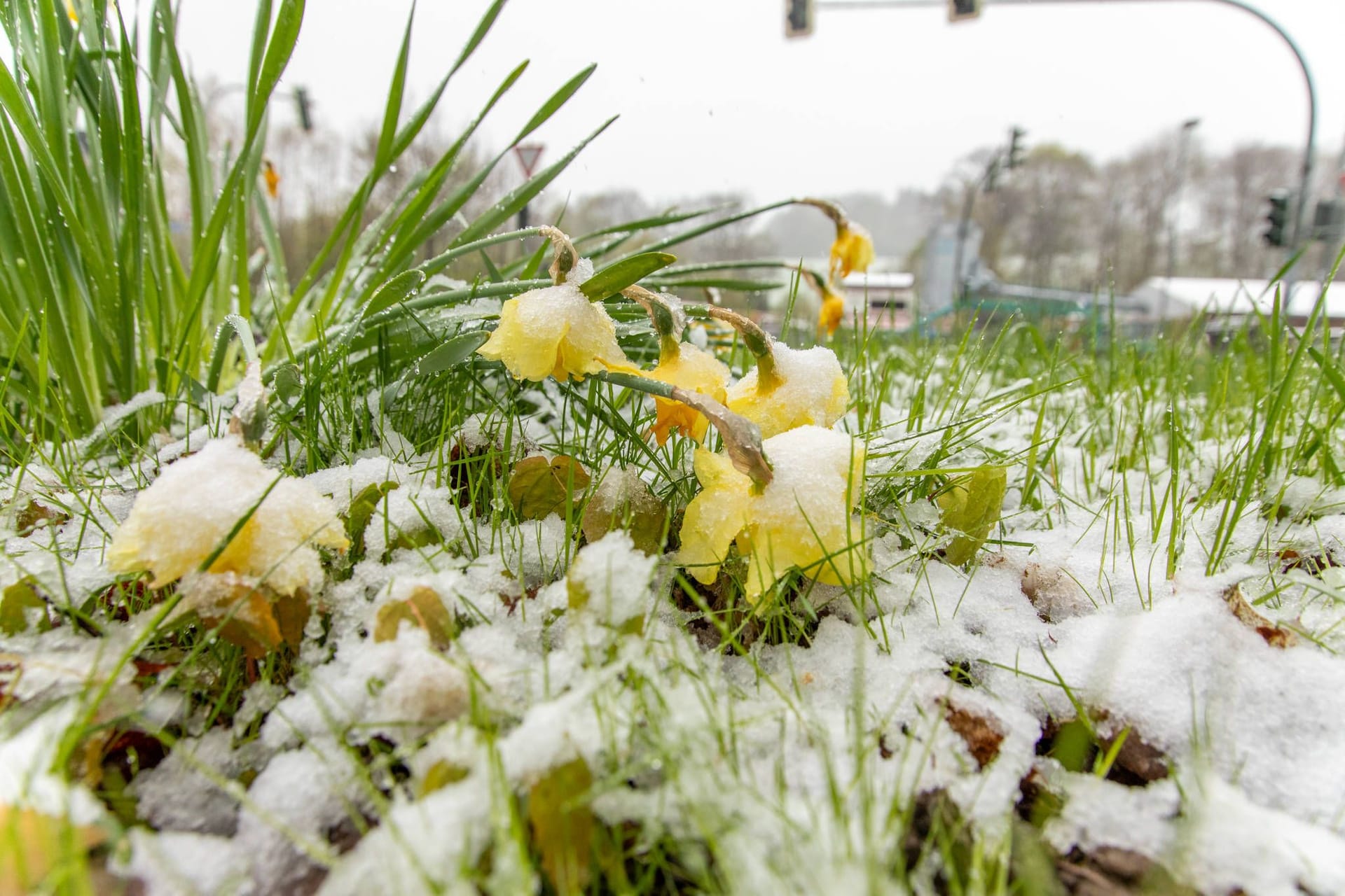 Der Winter hält wieder Einzug in Norddeutschland.