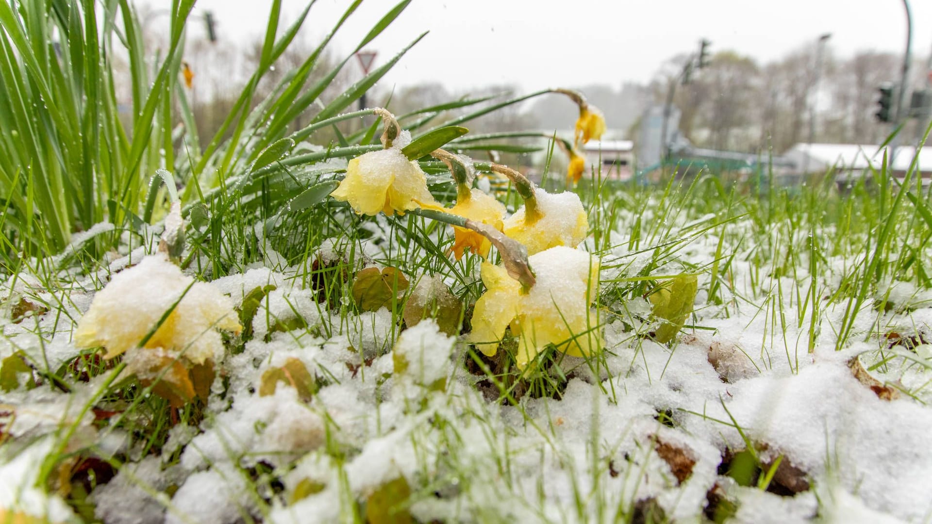 Der Winter hält wieder Einzug in Norddeutschland.