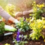 Gartenarbeiten im April: Daran sollten Sie jetzt denken