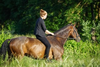 Eine Teenagerin reitet ohne Sattel auf einem Pferd (Symbolbild): Woher das Geräusch kam, welches das Tier erschreckte, ist unklar.