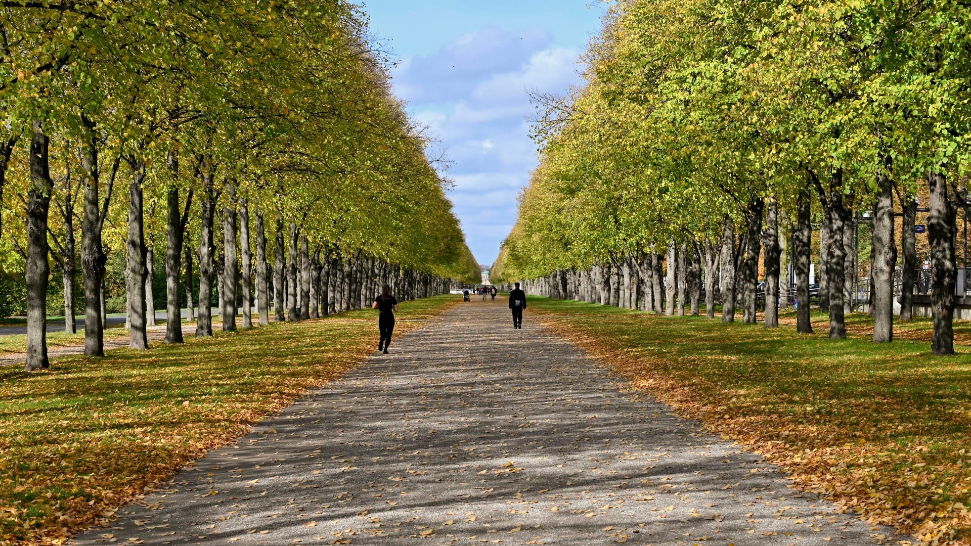 Herrenhäuser Allee im Georgengarten: Hannover hat viel Grün zu bieten.