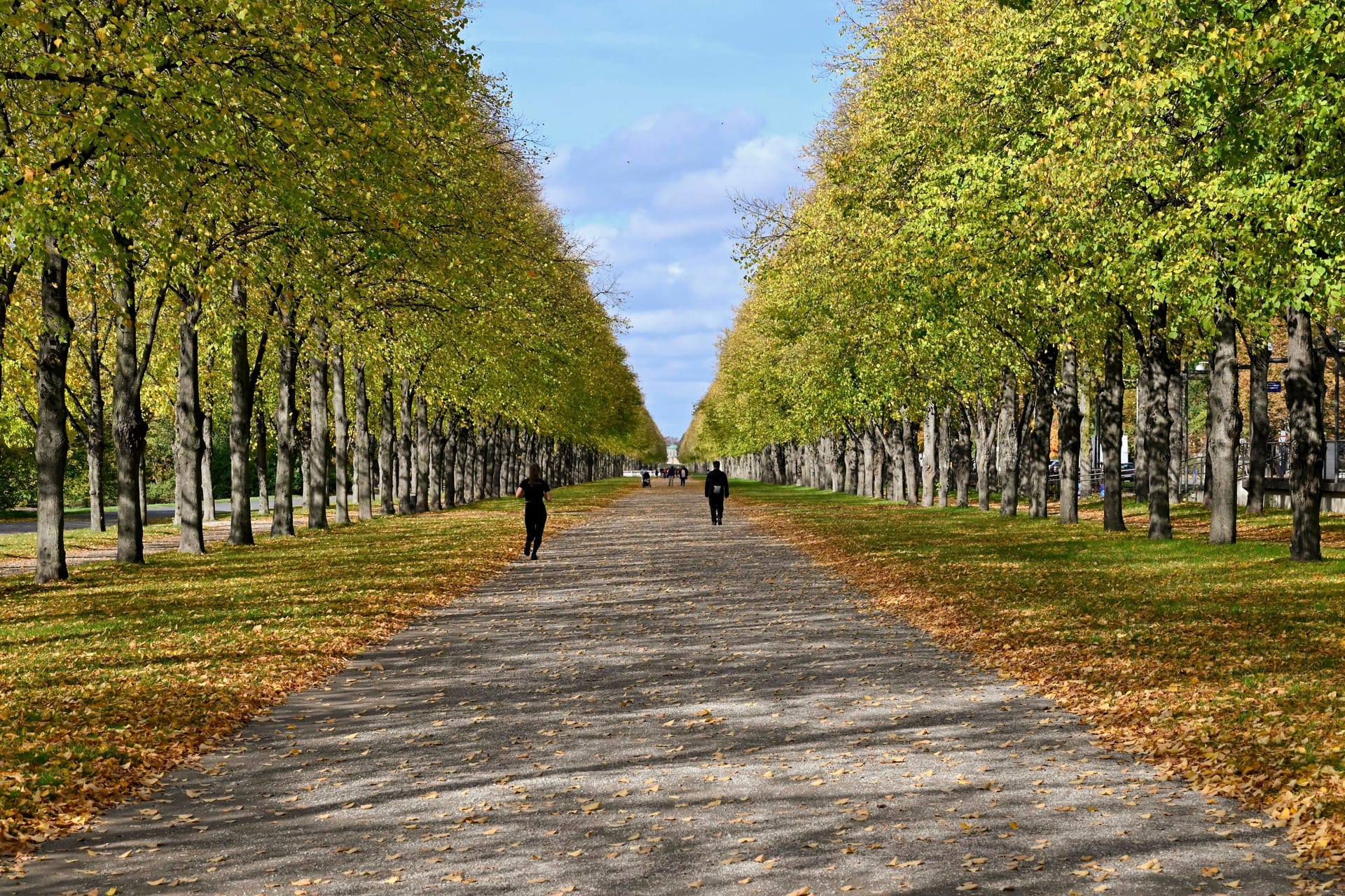 Herrenhäuser Allee im Georgengarten: Hannover hat viel Grün zu bieten.