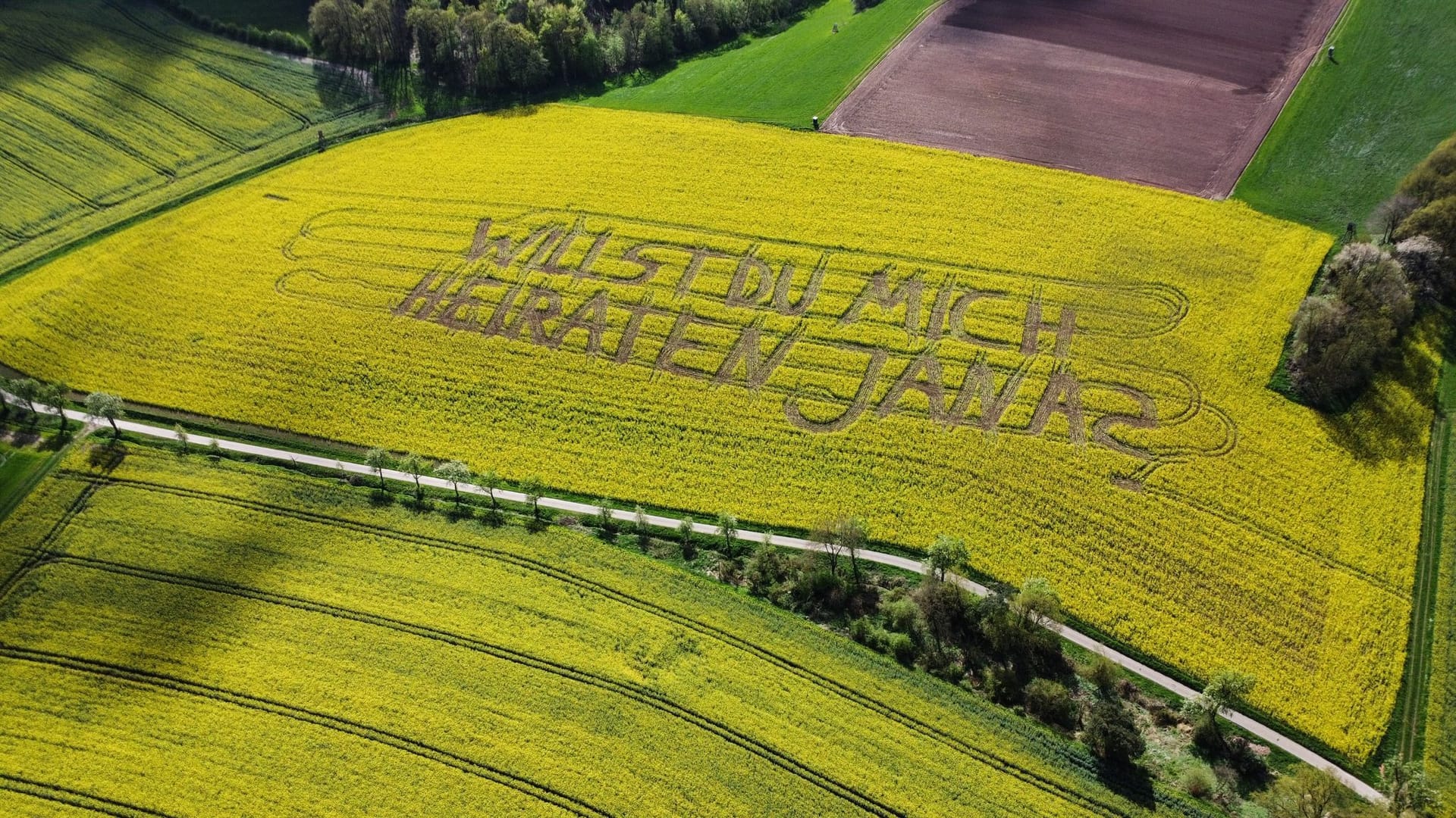 Heiratsantrag im Feld