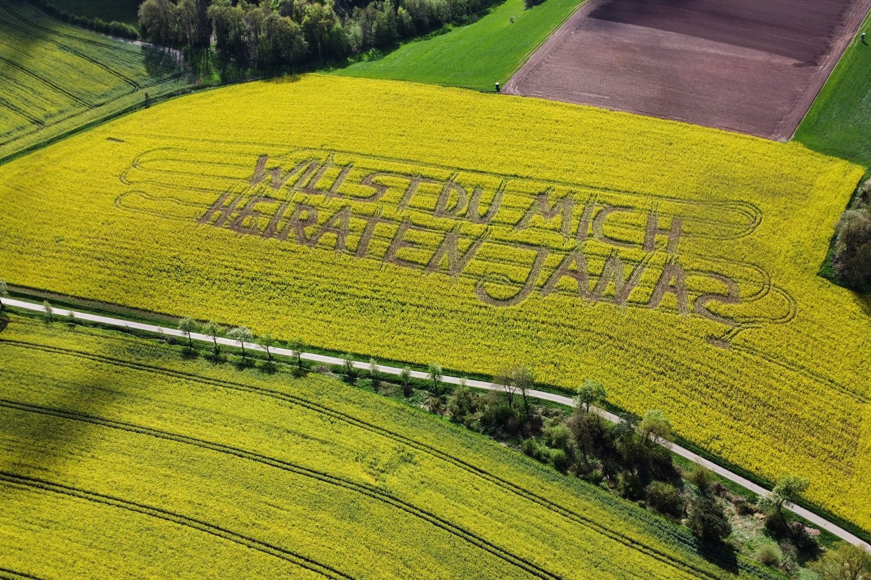 Heiratsantrag im Feld