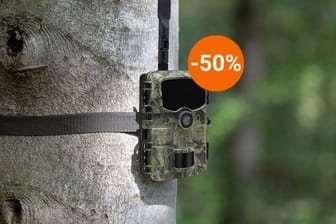Die Wildkamera WK-4 HD LTE mit SIM-Karten-Slot von Maginon sichern Sie sich aktuell mit 50 Prozent Rabatt im Aldi-Onlineshop.