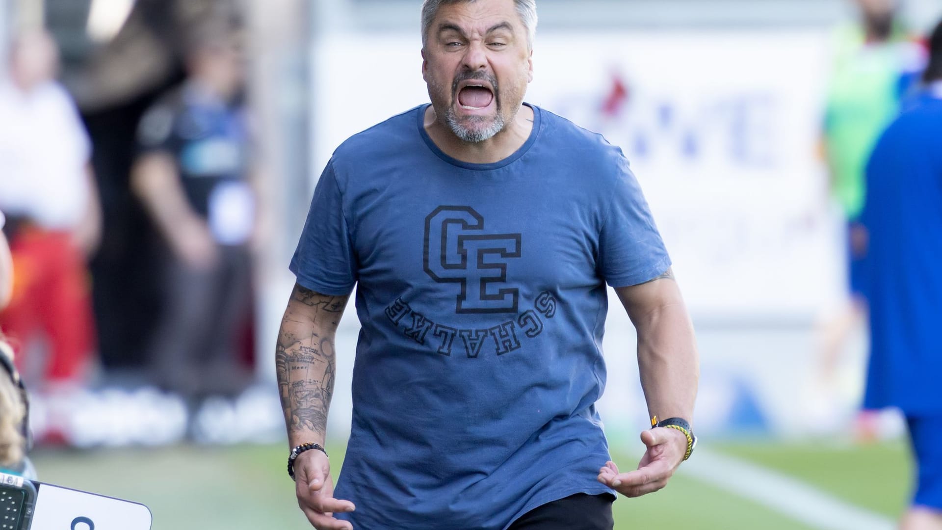 Thomas Reis Thomas Reis
