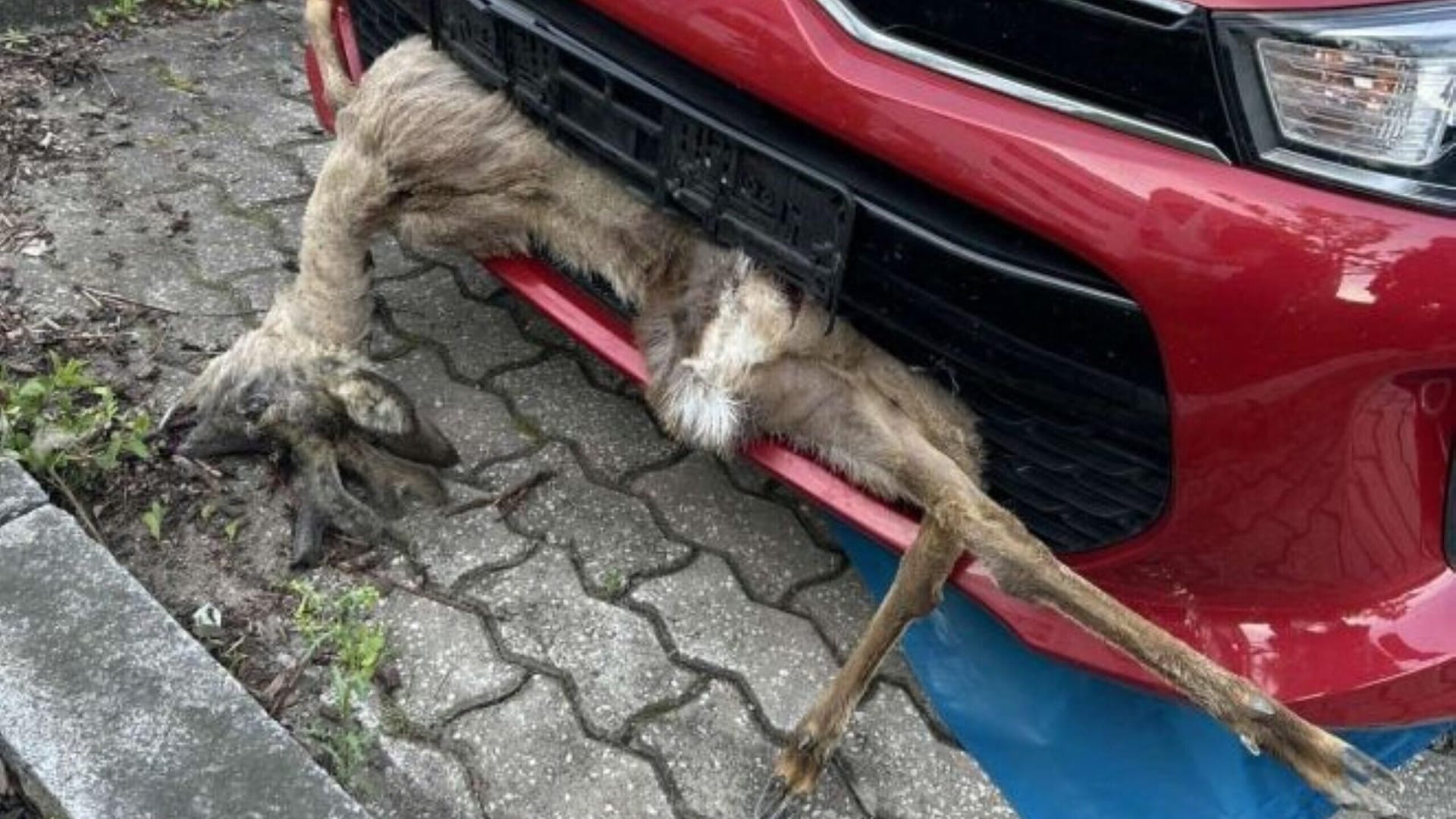 So fuhr der Fahrer noch weiter bis er bei seiner Arbeit ankam. So fuhr der Fahrer noch weiter bis er bei seiner Arbeit ankam.