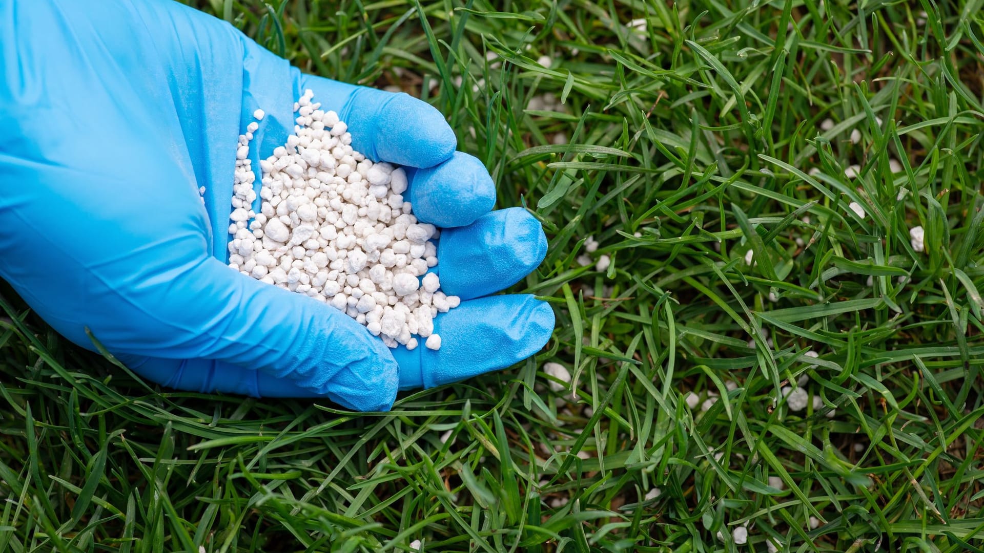 Rasenpflege im Frühling: Fünf Rasendünger für das Frühjahr im Überblick.