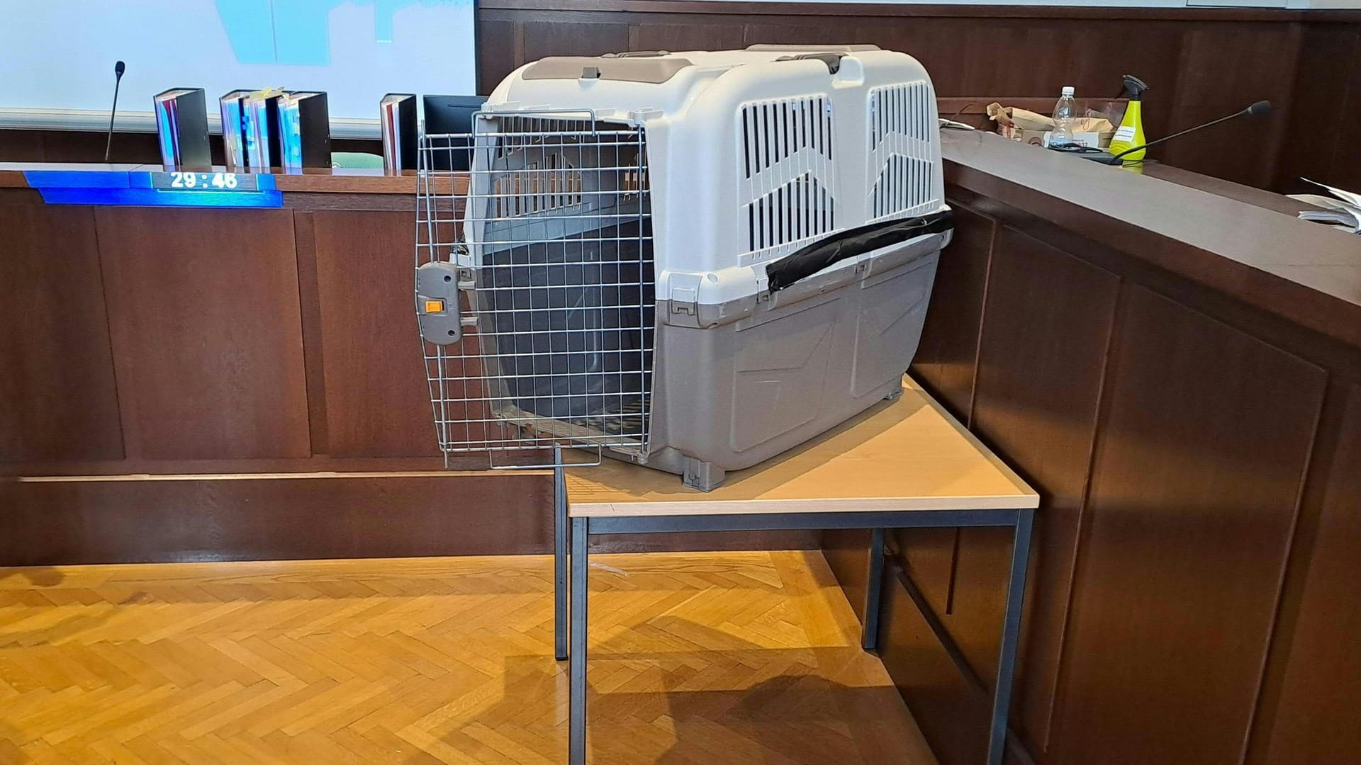 Hundebox Hundebox