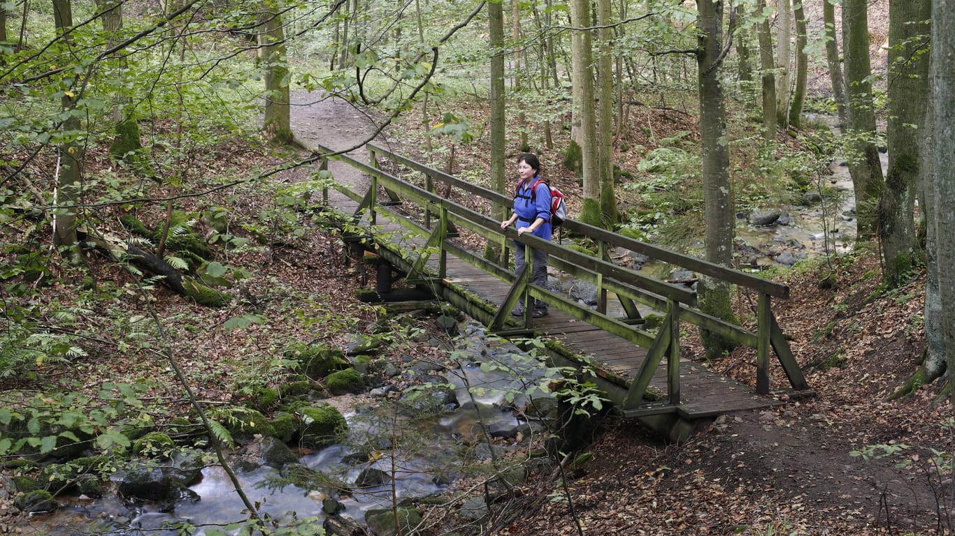 Wanderer in der Kaskadenschlucht bei Gersfeld: Ein Ausflug zu diesem grünen Ort lohnt sich zu jeder Jahreszeit.