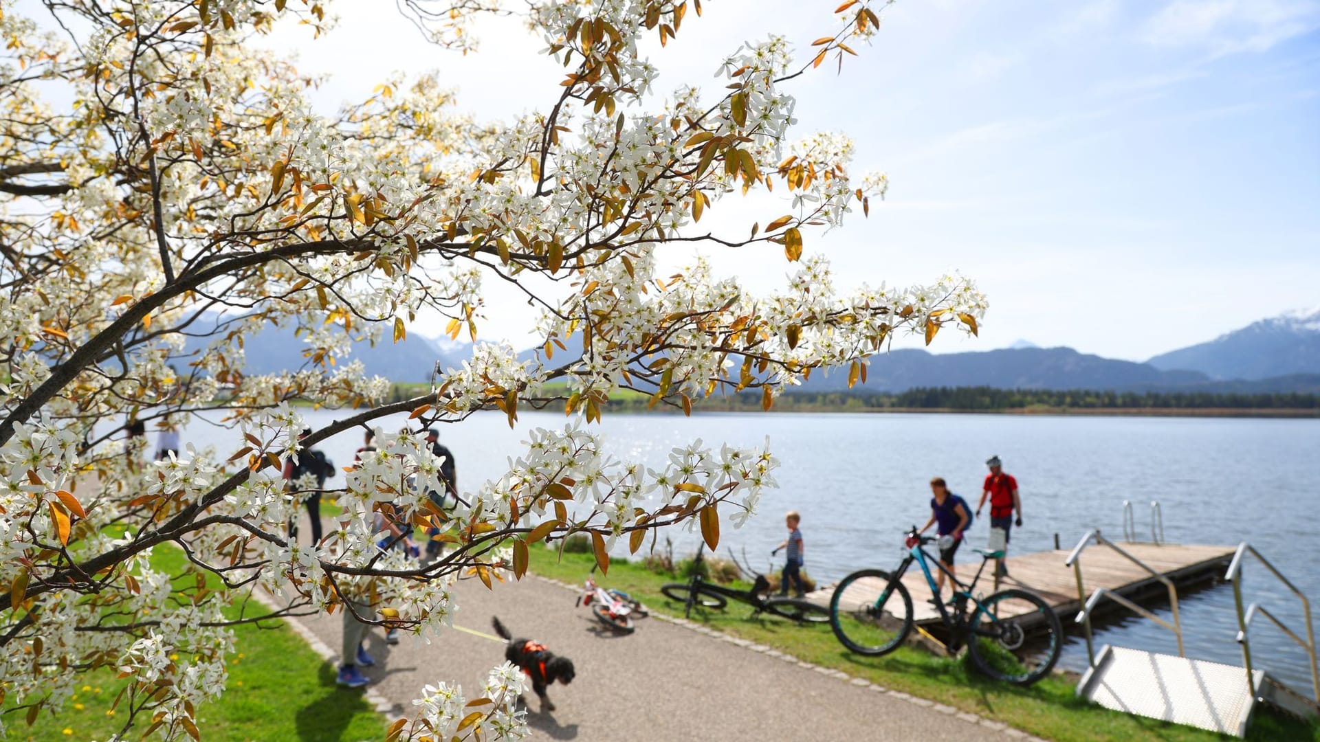 Ausflügler am Hopfensee: Im Freistaat waren am Wochenende tausende Ausflügler unterwegs.