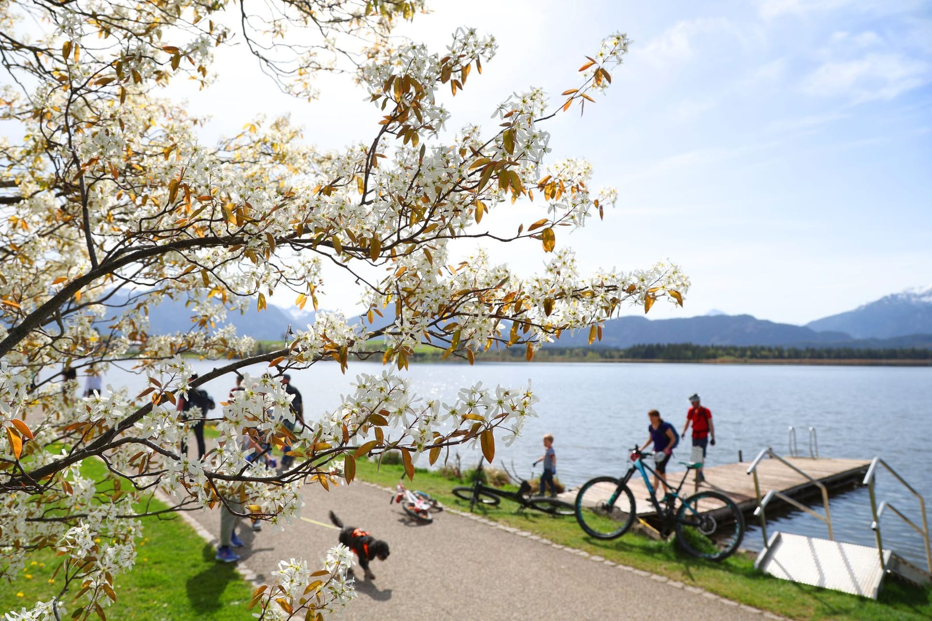 Ausflügler am Hopfensee: Im Freistaat waren am Wochenende tausende Ausflügler unterwegs.