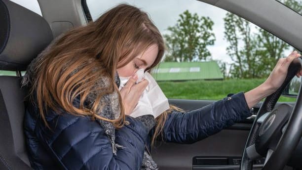 Heuschnupfen: Niesanfall während der Autofahrt – was tun?