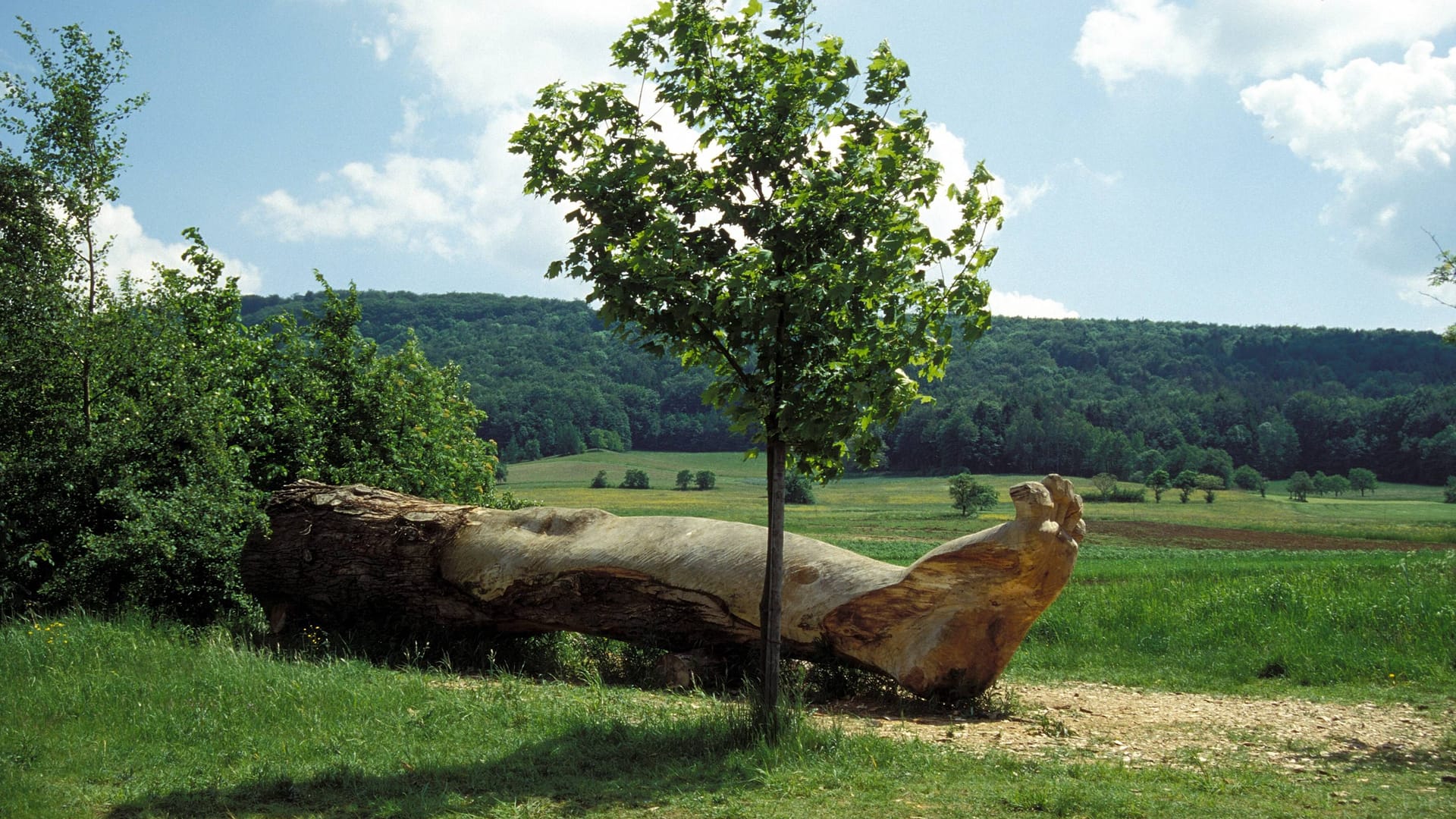 Spur der Riesen... - Mächtige Beinskulptur aus Holz bei Litzendorf-Lohndorf (Archivbild).