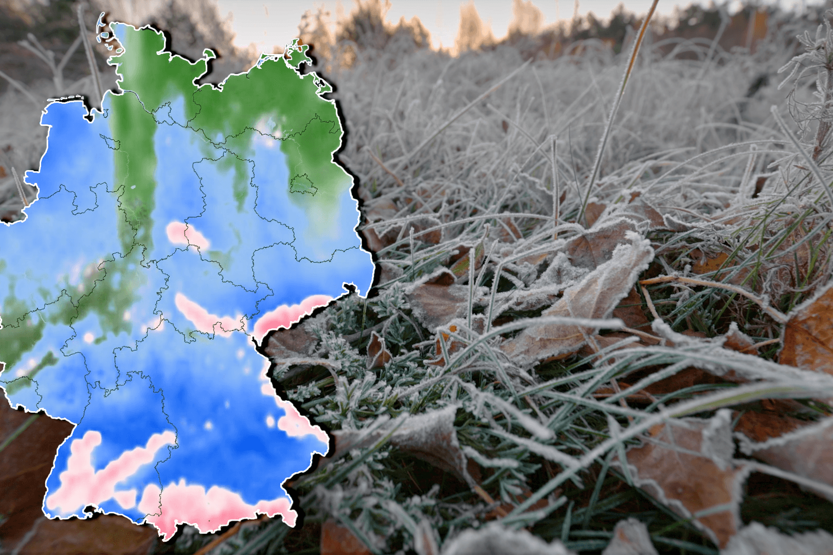 Ernte in Gefahr wegen eisiger Temperaturen