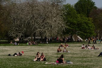 Sonnenanbeter im Rheinpark am Wochenende: Bis zu 26 Grad warm wurde es in Köln.