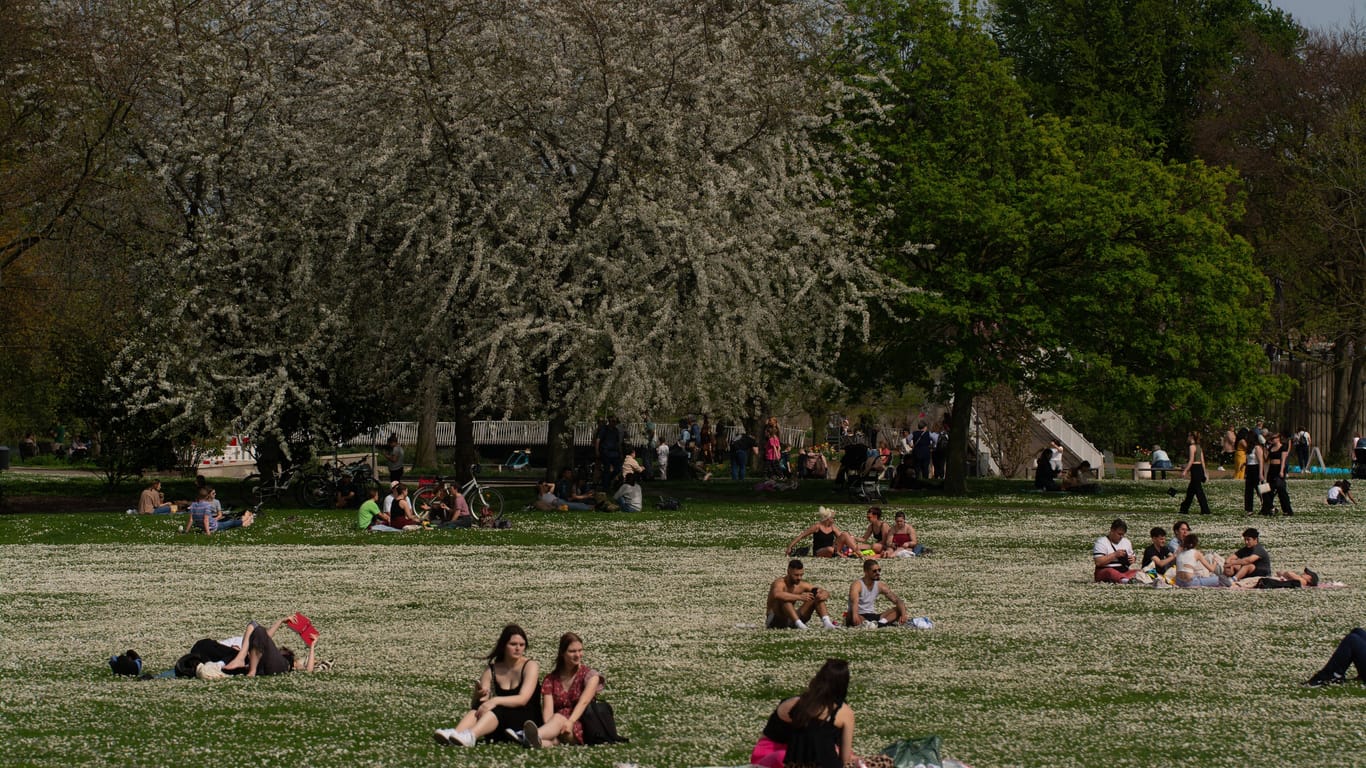 Sonnenanbeter im Rheinpark am Wochenende: Bis zu 26 Grad warm wurde es in Köln.