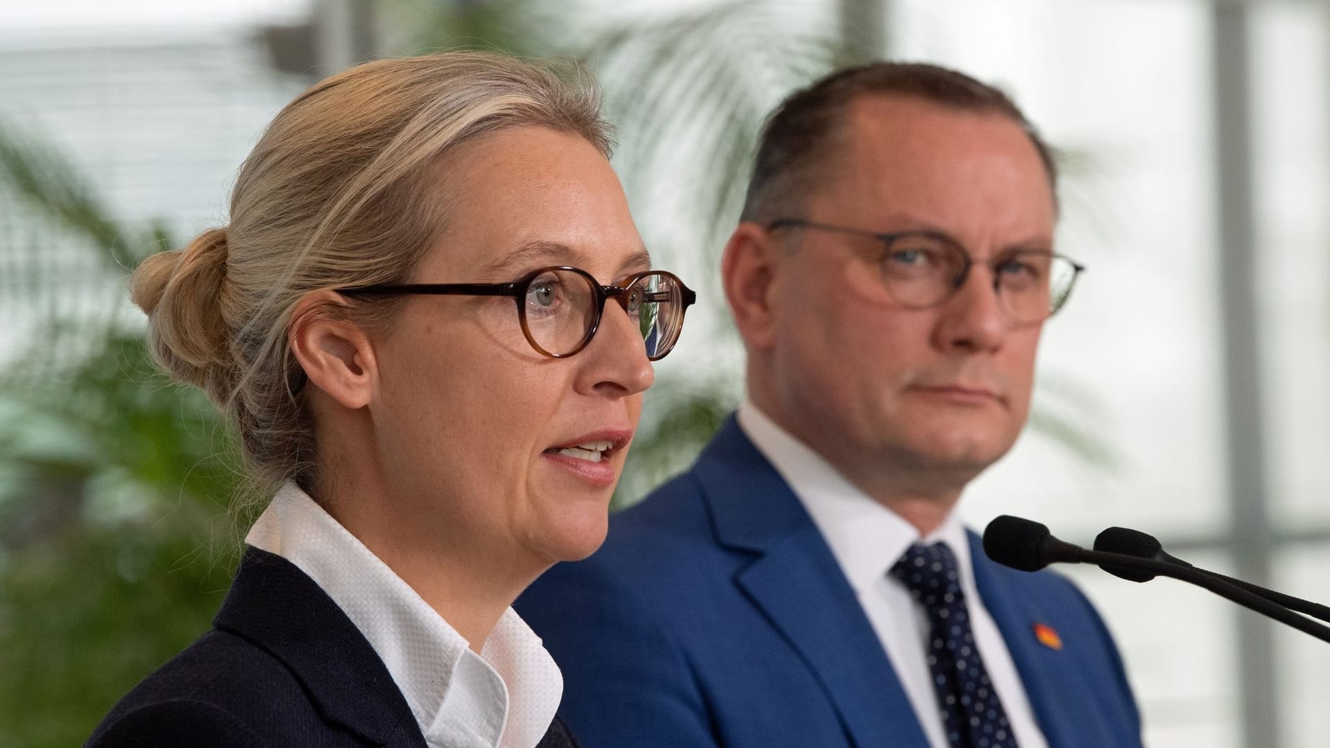 Weidel und Chrupalla