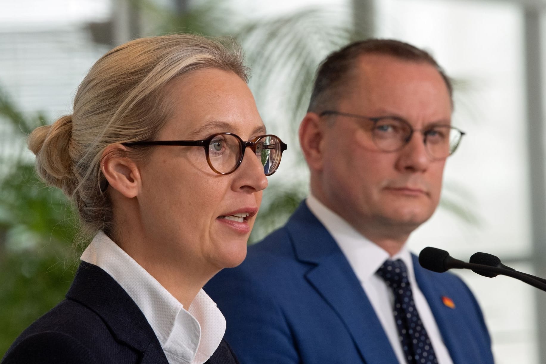 Weidel und Chrupalla