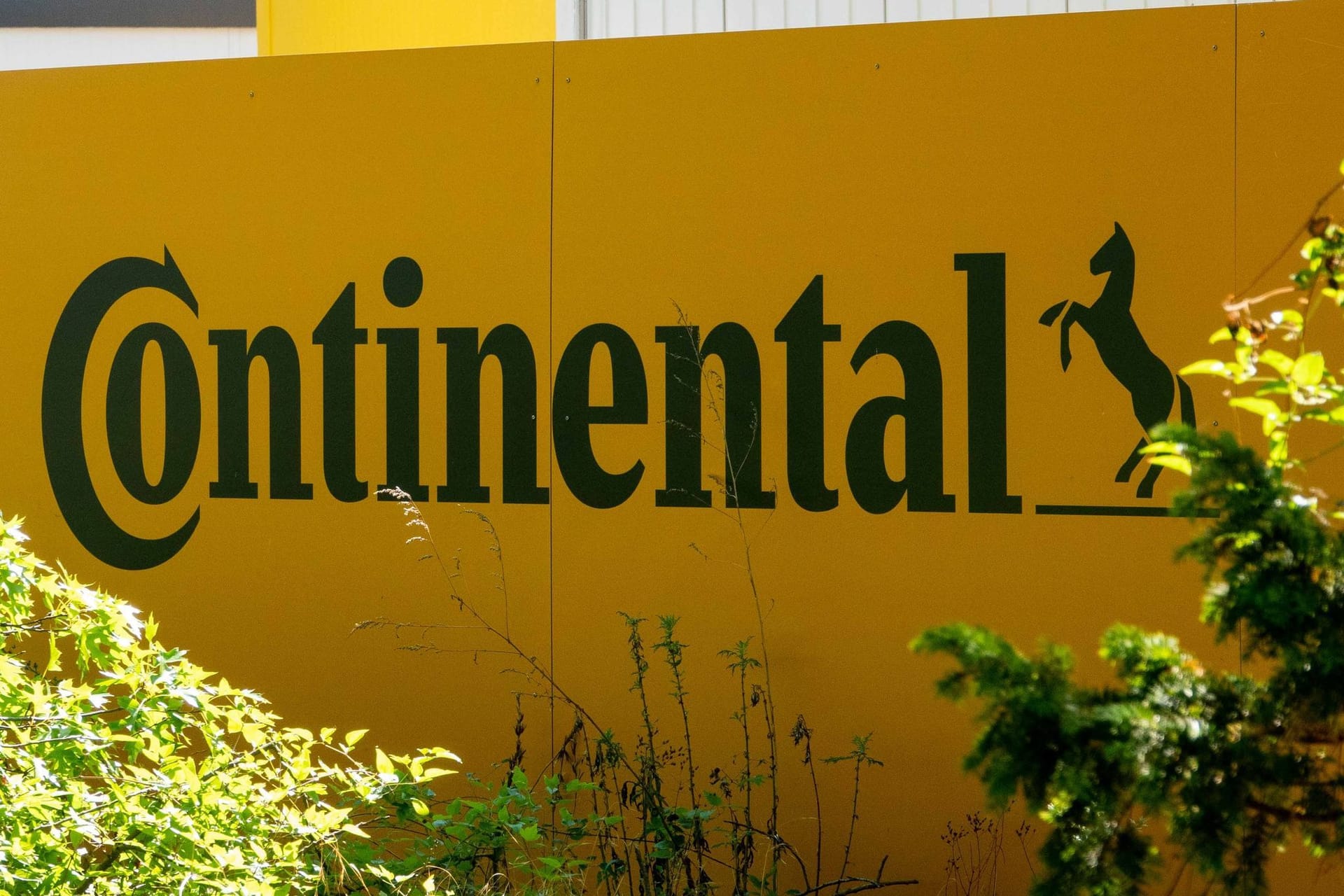 Continental Zentrale