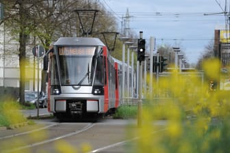Ein Zug der Rheinbahn fährt durch Düsseldorf (Archivbild): Am Montag kann es zu Ausfällen und Verspätungen kommen.