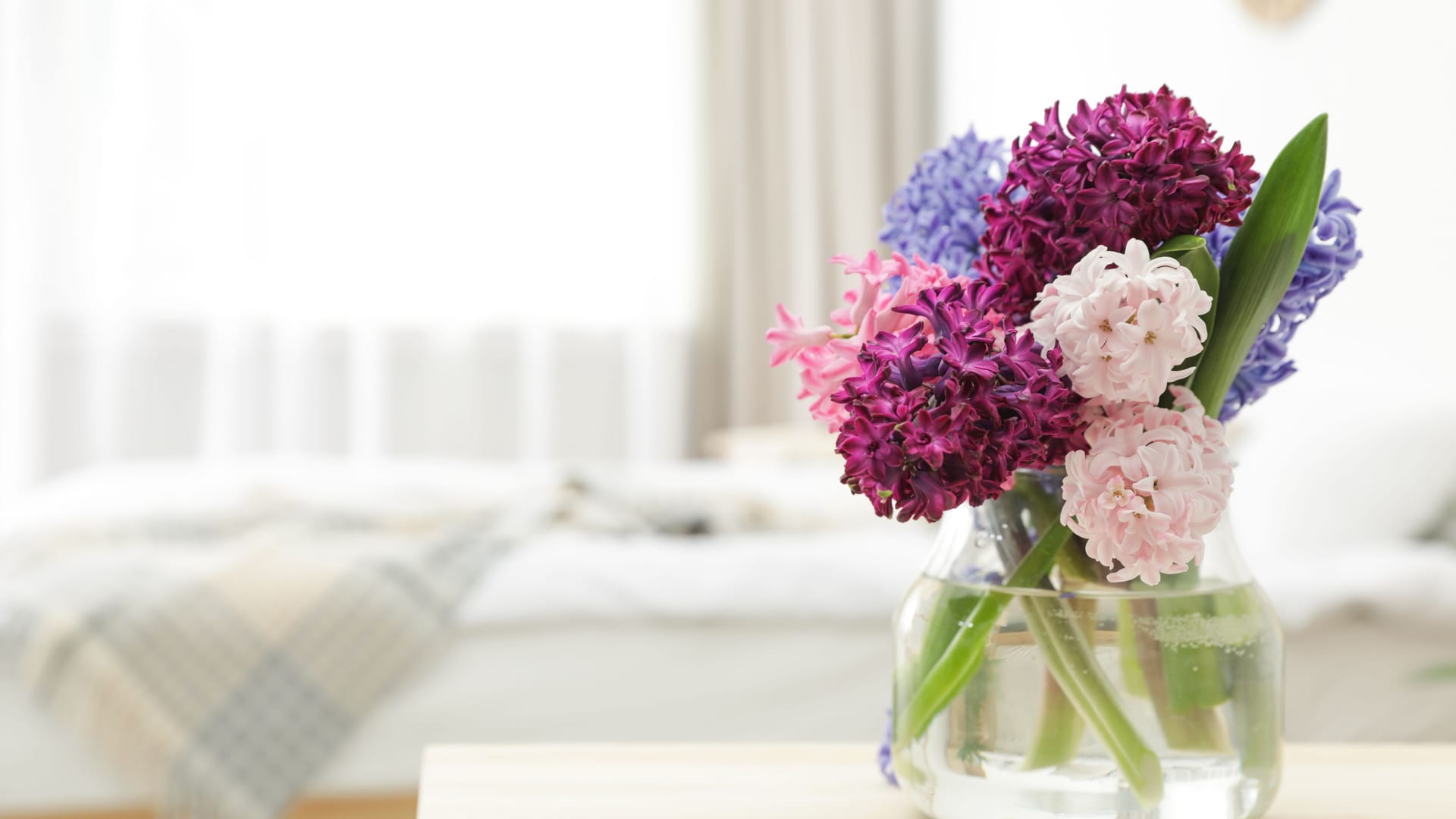Beautiful hyacinths in glass vase on table indoors, space for text. Spring flowers
