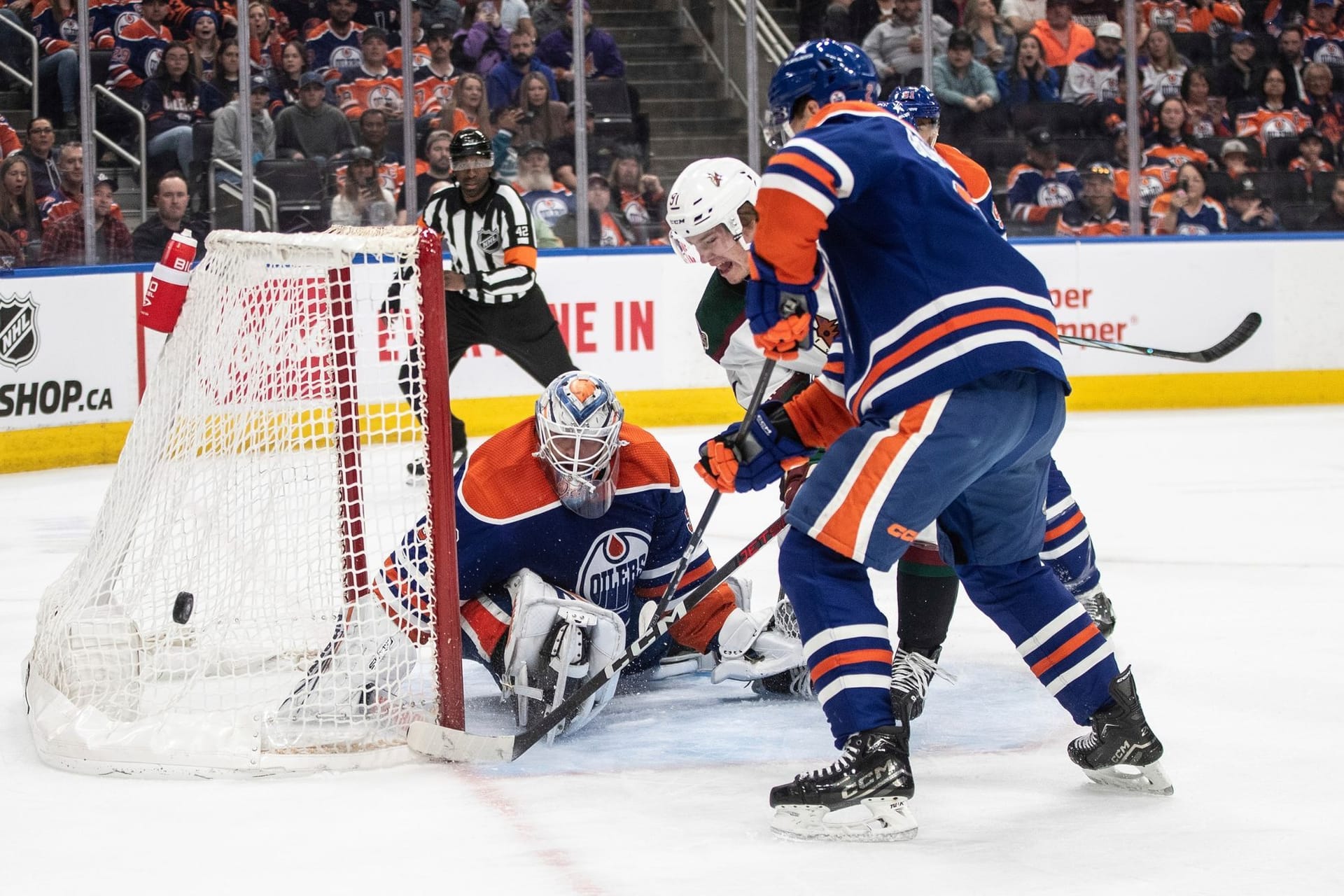 Edmonton Oilers - Arizona Coyotes