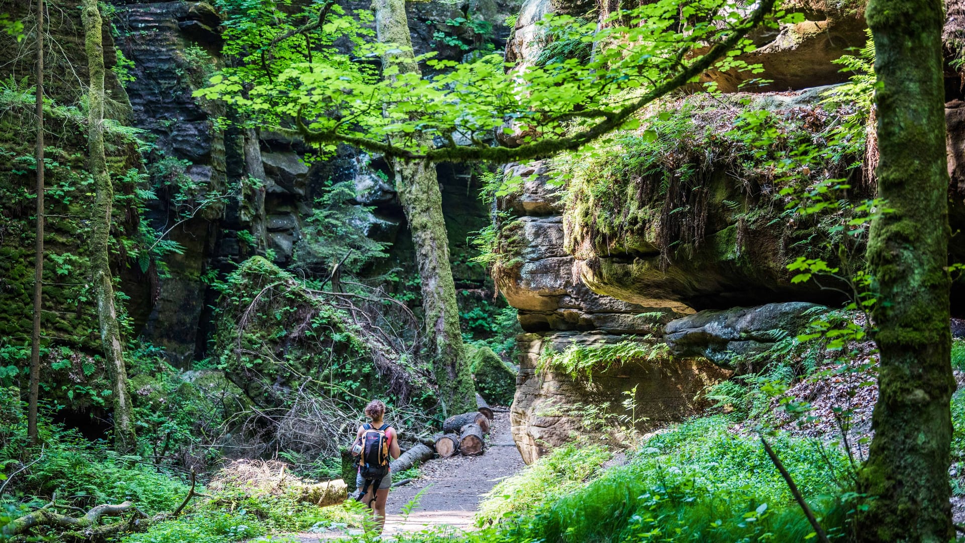 Wandern im Elbsandsteingebirge