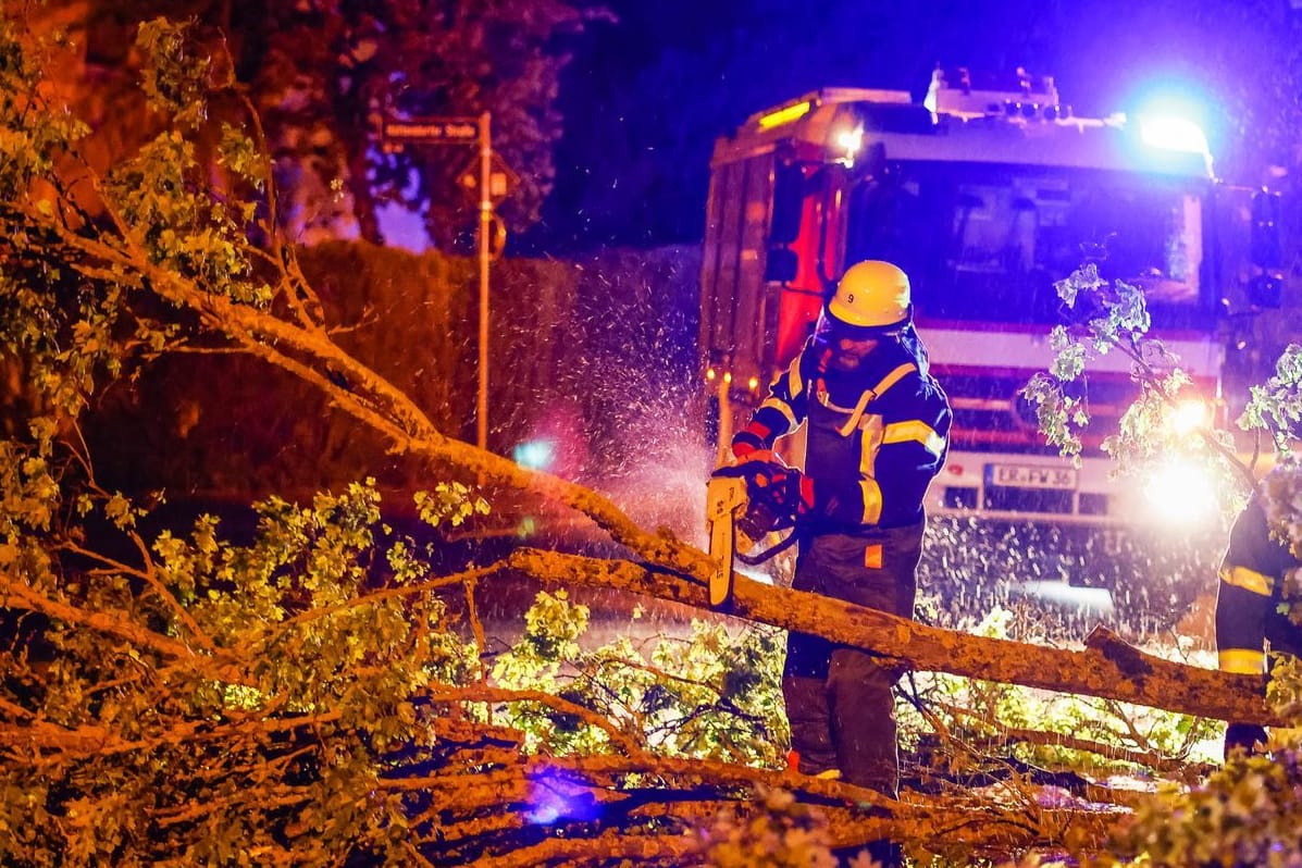 Umgestürzter Baum in Erlangen