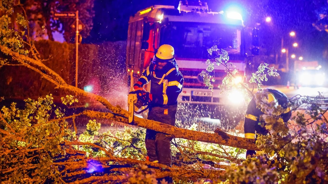 Umgestürzter Baum in Erlangen
