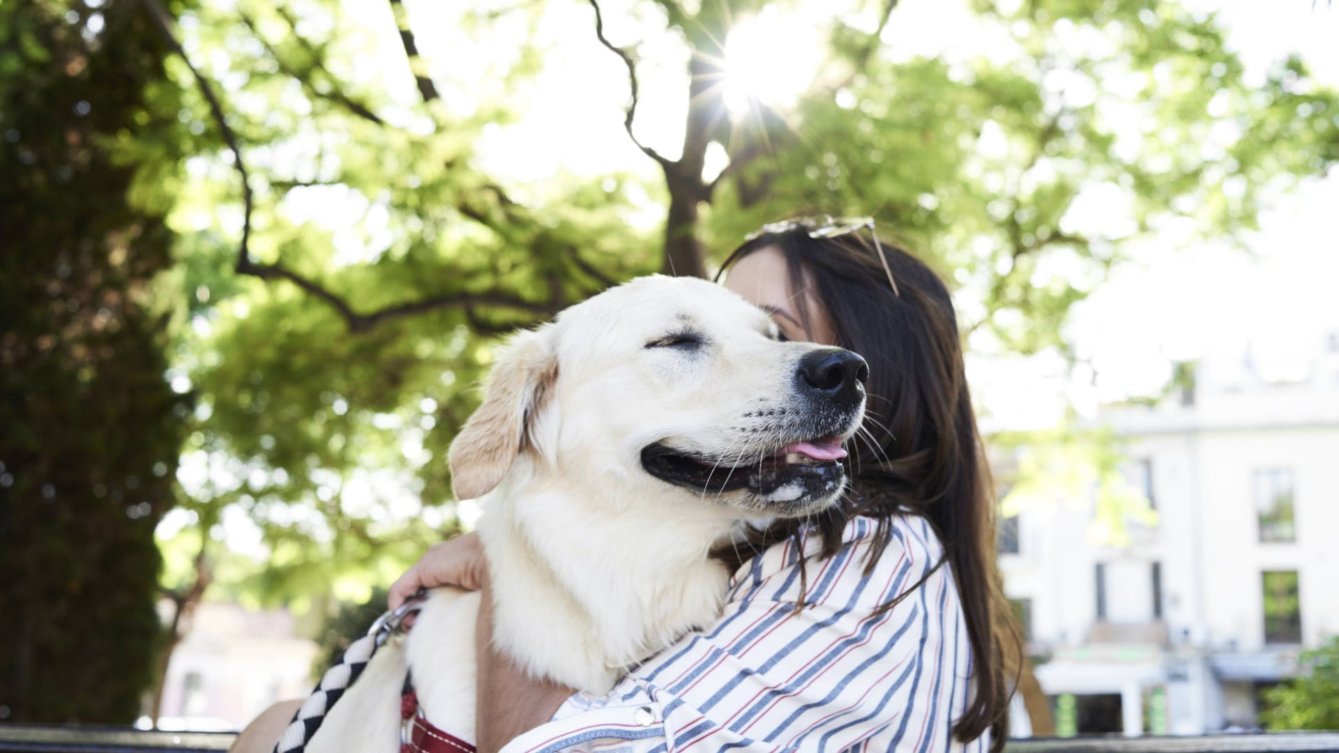 Hund mit einer Hundebesitzerin (Symbolfoto): In Nürnberg widersetzte sich eine Frau der Leinenpflicht für ihren Liebling.