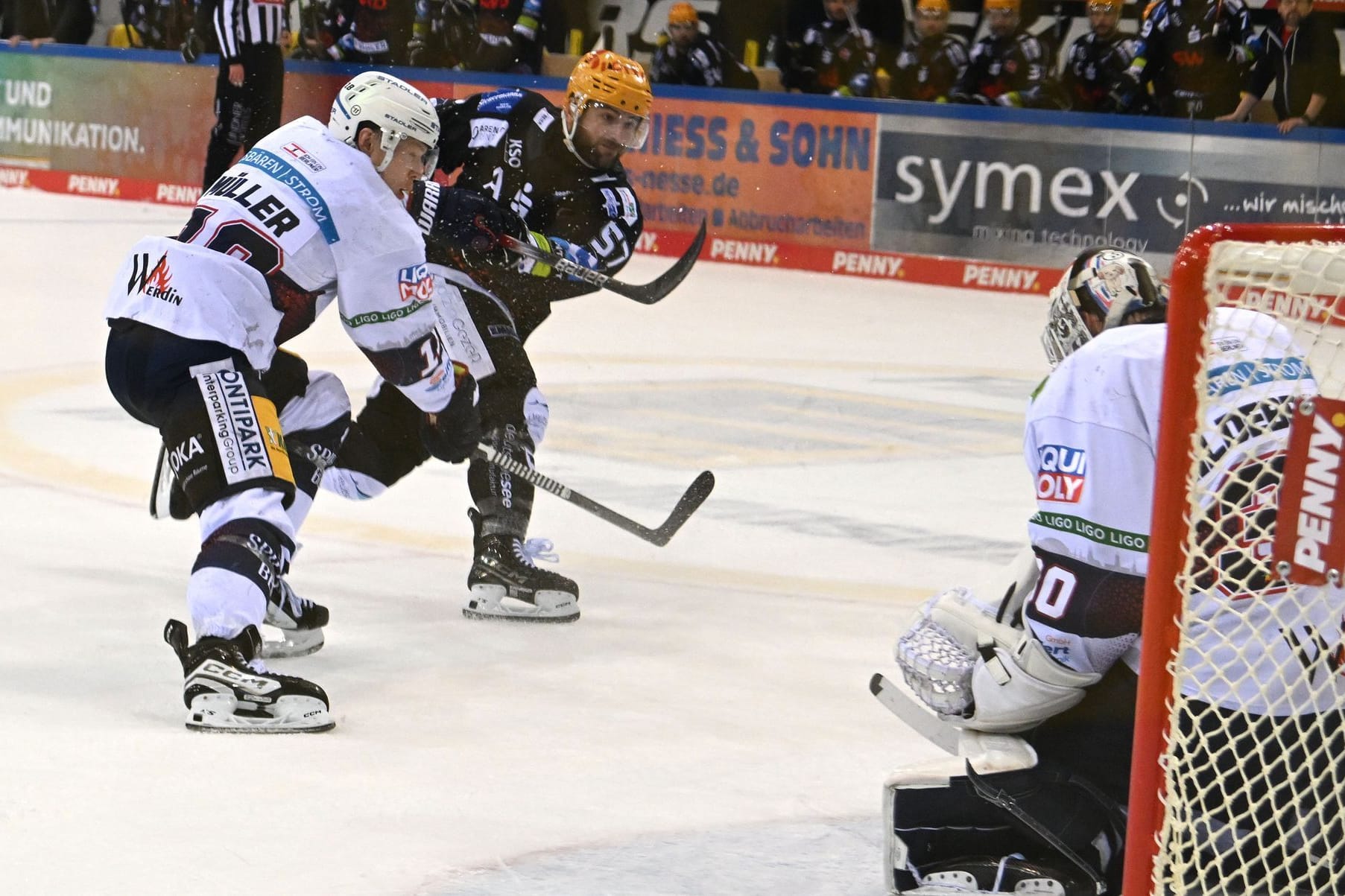 Pinguins Bremerhaven - Eisbären Berlin